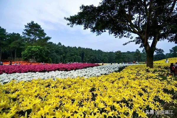 石象湖游览图片大全,石象湖自然风景