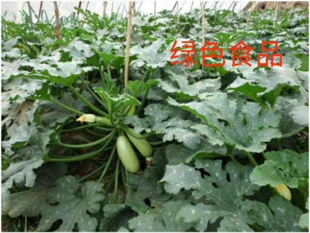 廊坊第二十四届农产品展销会,2024廊坊食品展览会