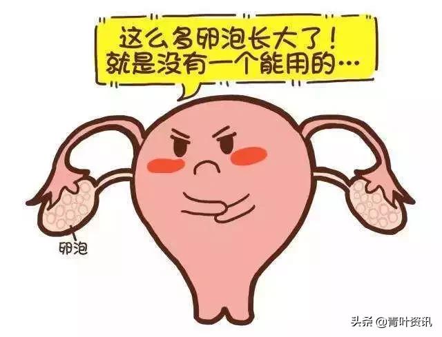 内分泌失调不来大姨妈怎么调理,内分泌失调大姨妈推迟七天正常吗