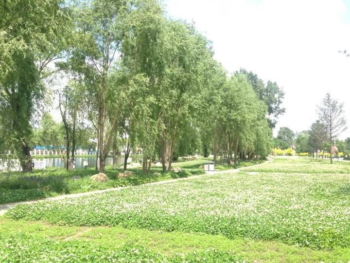 吉林省高校(二十一)长春中医药大学