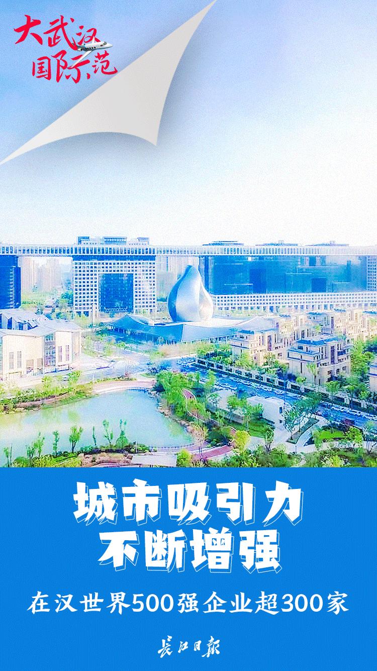 大武汉国际汽配城,大武汉国际范