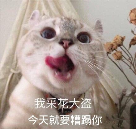 撩男朋友坏坏表情包一套自取,撩男生很甜很撩表情包