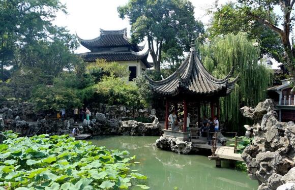 苏州乐园森林公园离拙政园有多远,苏州最出名的园林拙政园怎么介绍
