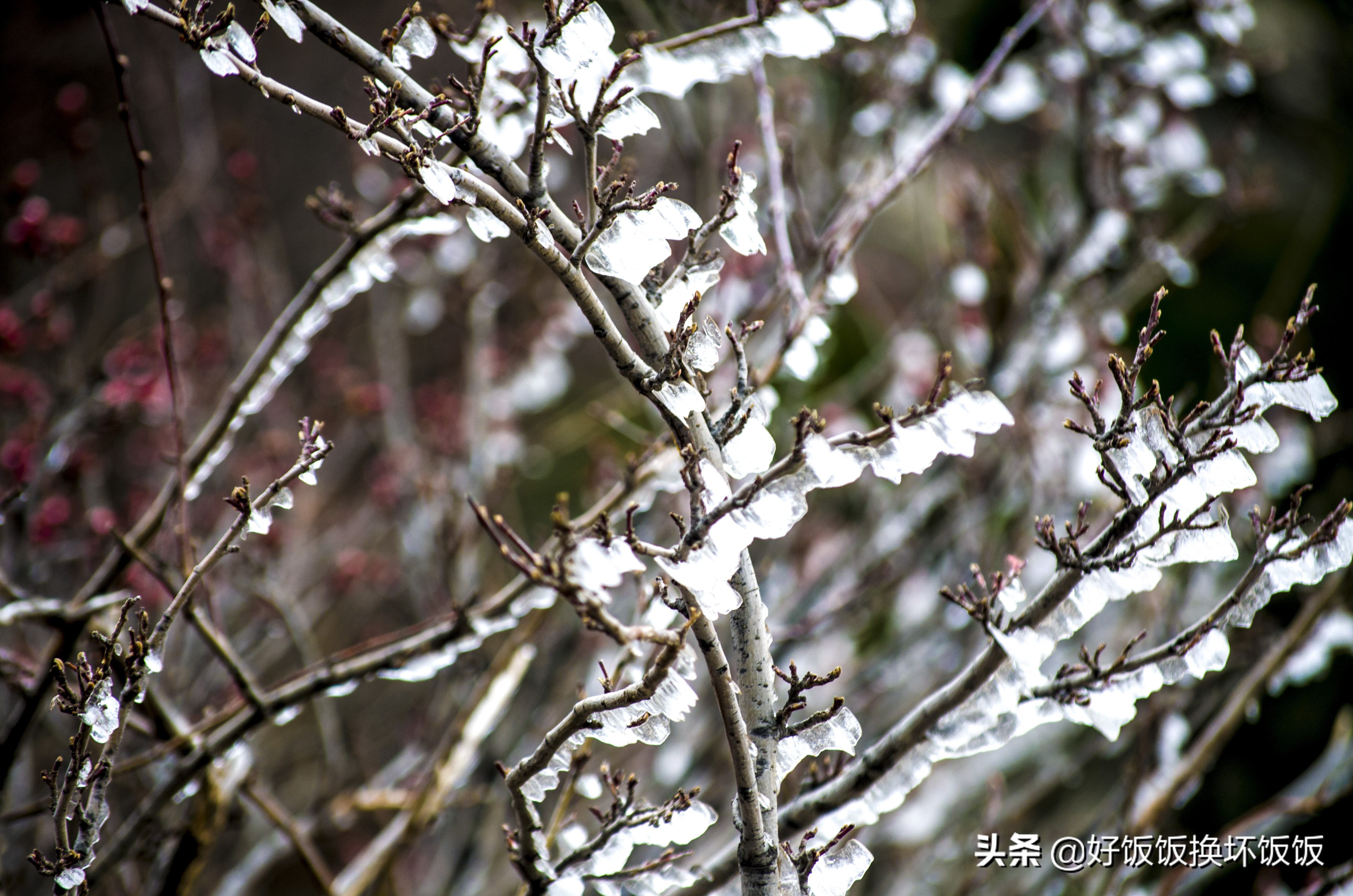 华山站到华山北峰怎么走,华山西峰到华山北峰山路怎样