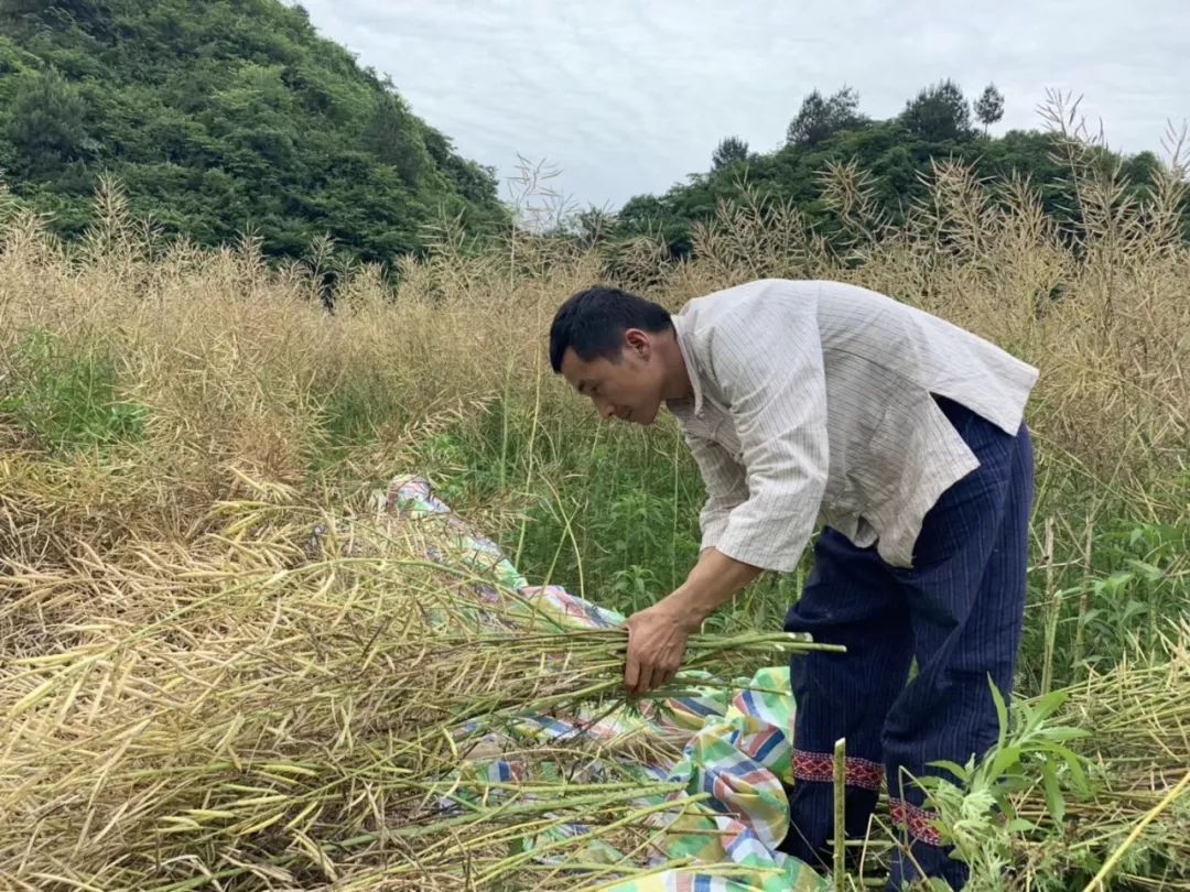 磨叽哥直播,磨叽哥