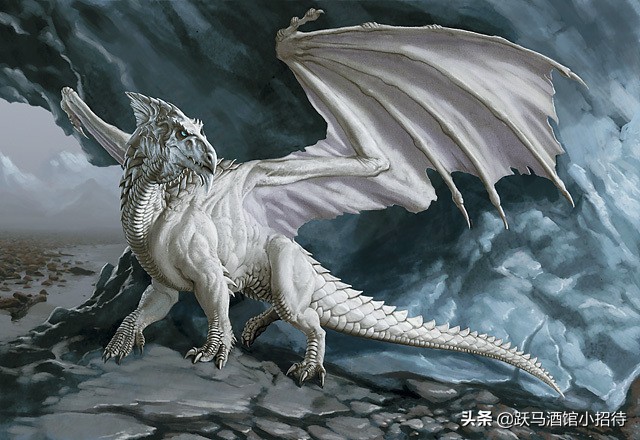 猎魔人跟狼人,美剧猎魔人十大魔法