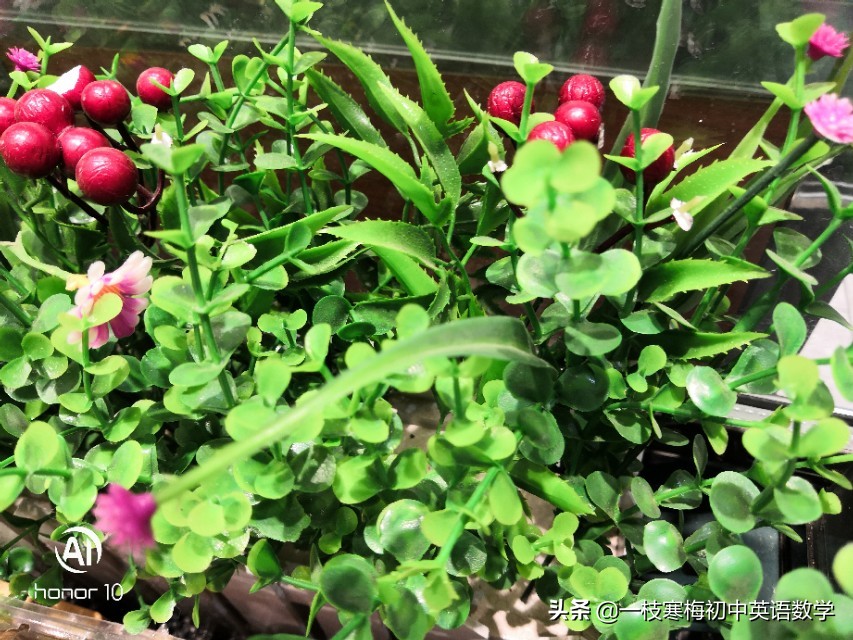 中考必备英语词汇1600词,中考1500英语词汇