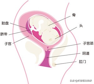 孕29周没法躺下睡觉怎么办,怀孕二十九周全身疼痛睡不了