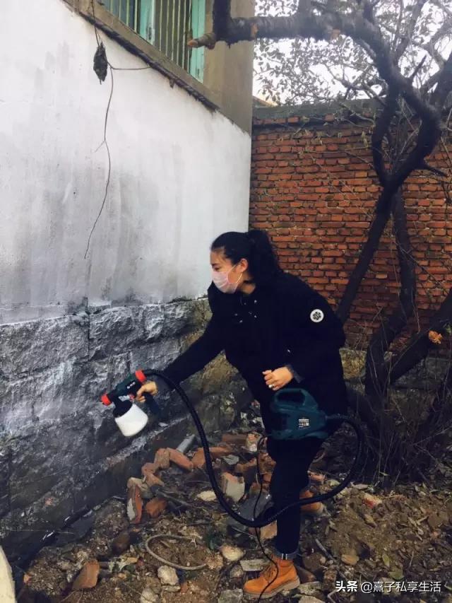 怎么打造低成本花园,怎么用几十元造花园