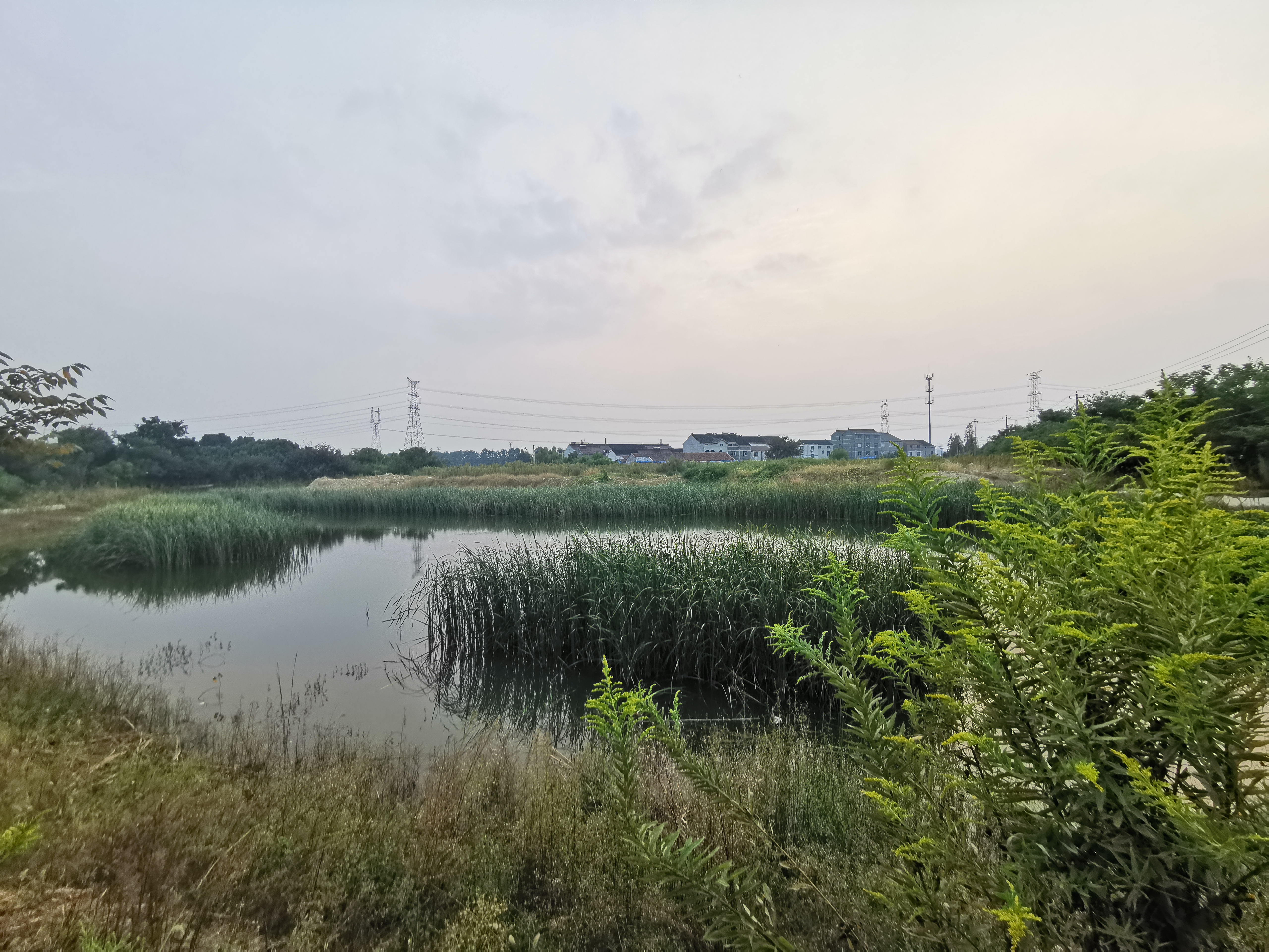 常州鱼塘农家乐出租转让,武进附近鱼塘农家乐转让