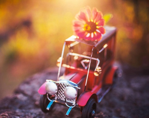 2019年犯太岁的生肖有哪些人,2019年犯太岁的4个生肖要多加小心