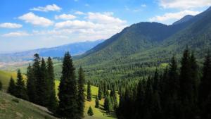 石河子返疆政策,石河子疆内旅行