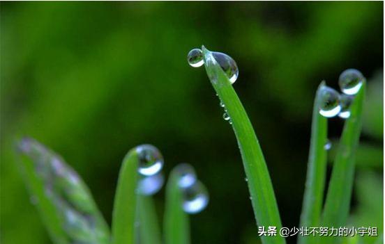 桃李不言下自成蹊感谢恩师的话,感谢师恩的经典诗词桃李满天下