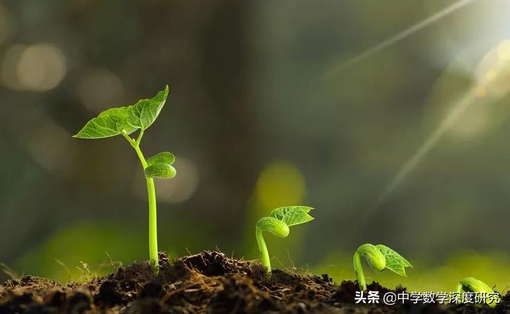 利用相似三角形测高方法中考,初中相似三角形母子型知识点