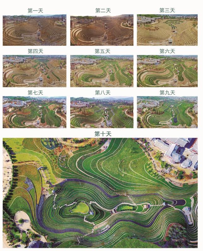 狂奔许家印完整版,许家印狂奔的视频