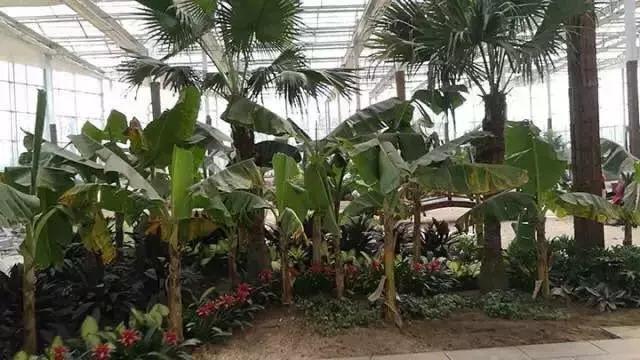 谁说冬天只有严寒,谁说大西北的荒漠寸草不生