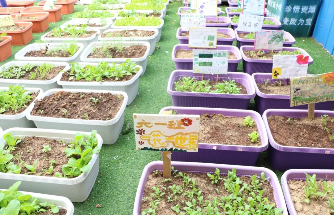 郑州郑上路小学,郑州市中原区郑上路小学