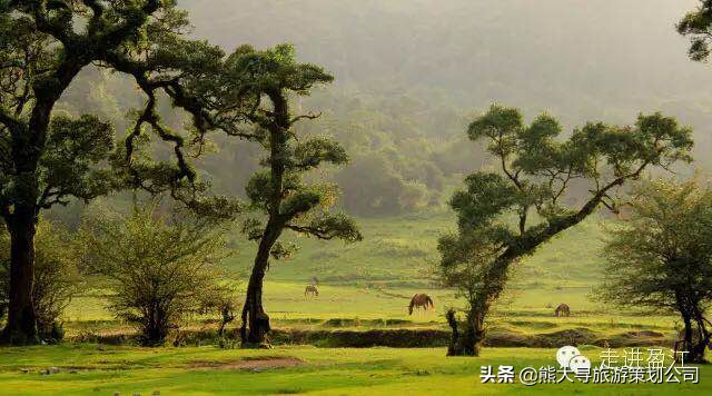 中国最大伊甸园,发现人类秘密