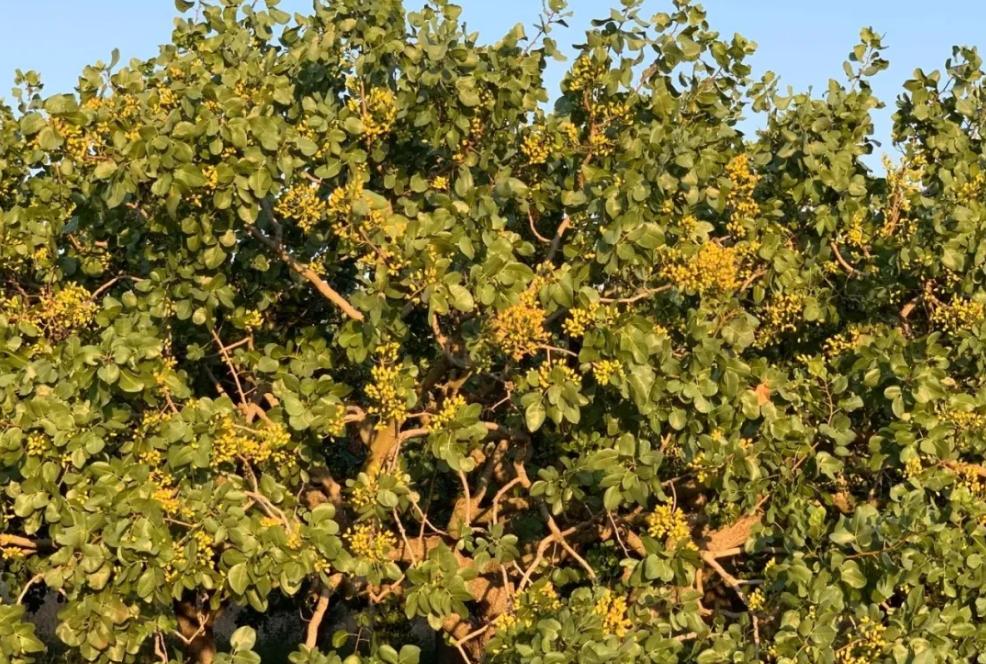 在希腊可以干嘛,在希腊的真实感受