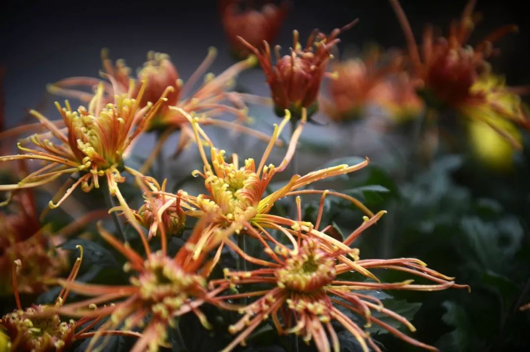 被严重低估的江苏成绩,扬州被严重低估的城市