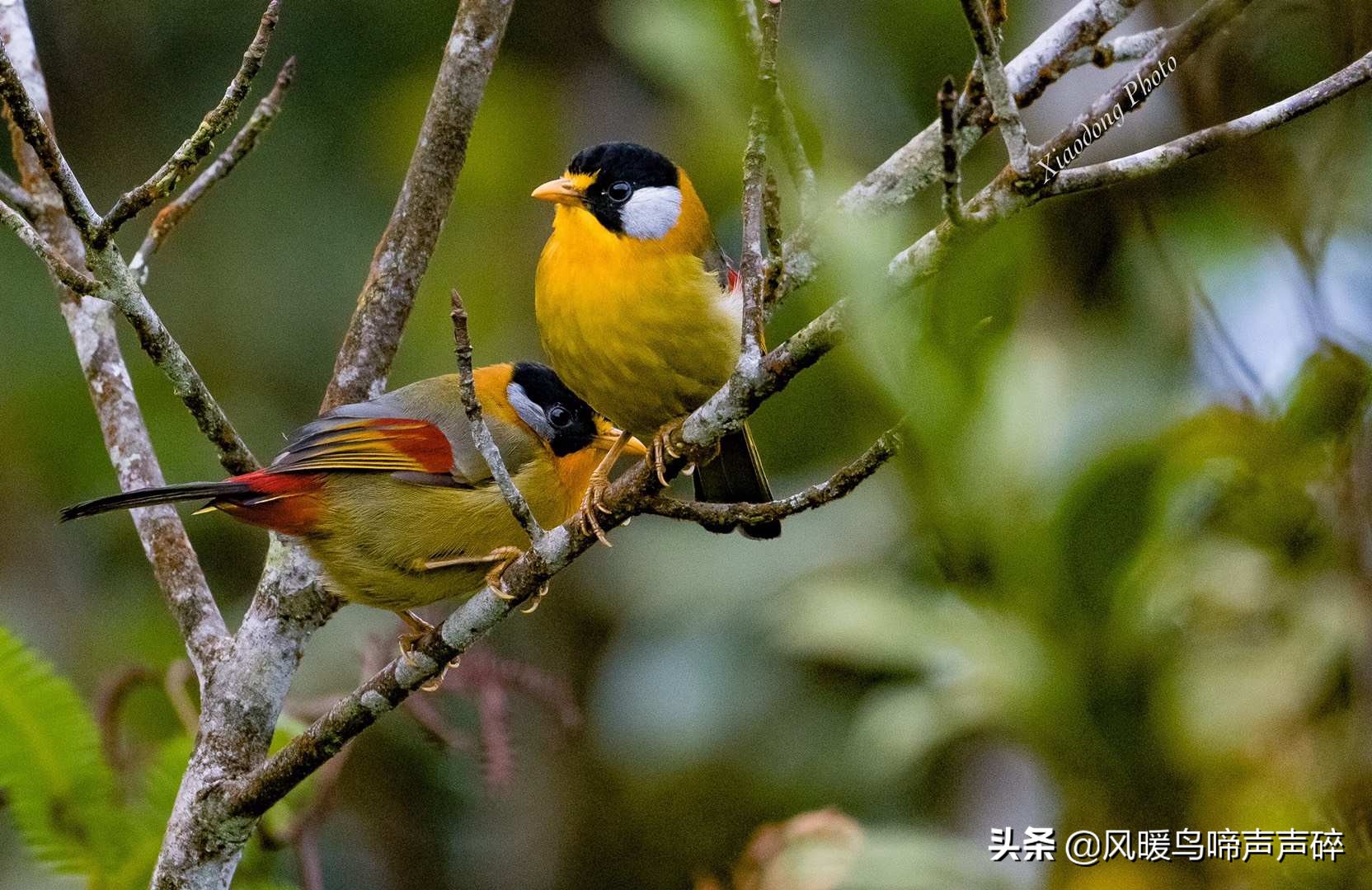 超模推荐的内衣,超模推荐内衣