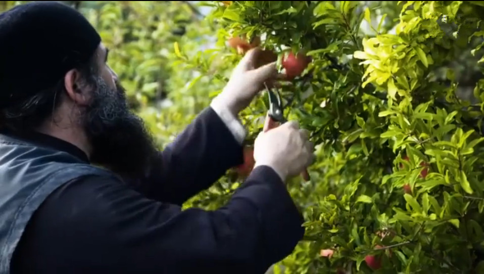 世界上唯一拒绝日本人的国家,世界上唯一一个男人
