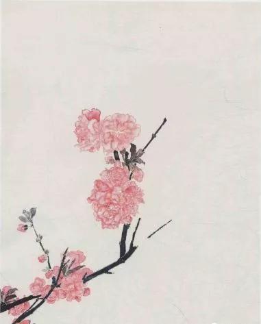 学画春天和桃花,学画简单春天画