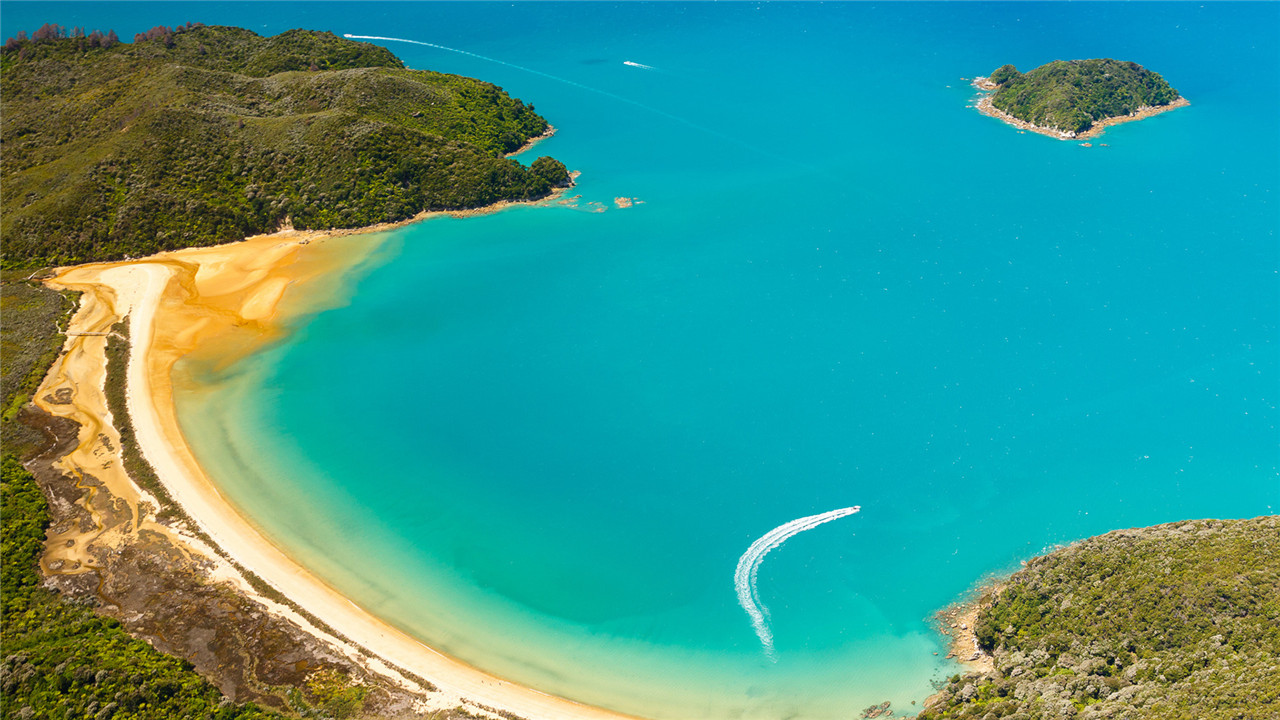 云淡风轻听琴语，静思禅慧洗俗尘