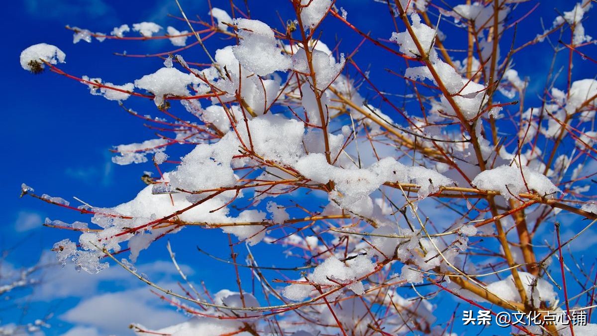 经典咏雪诗十首,十首最著名的咏雪古诗