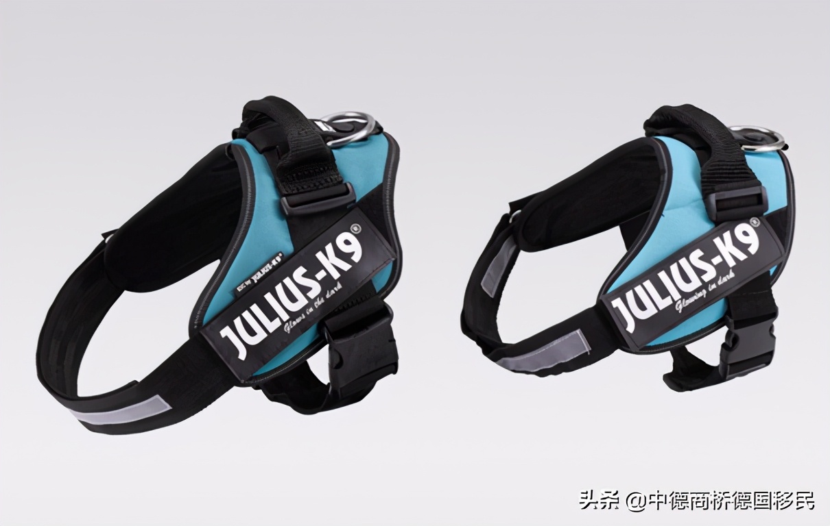 我们又拿了德国“金鼻子”抄袭大奖