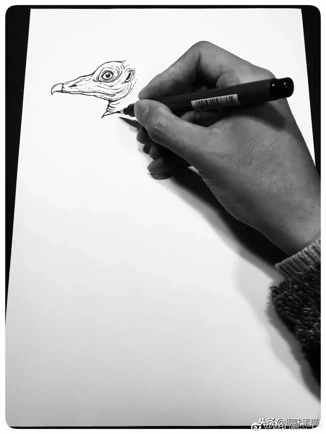 针管笔教程超适合初学者的笔,零基础针管笔教学