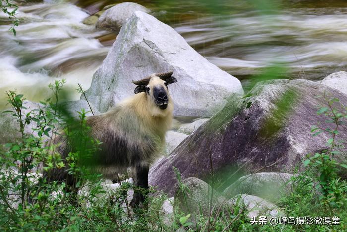 松下全画幅微单s1评测,松下s1全画幅微单拍摄视频