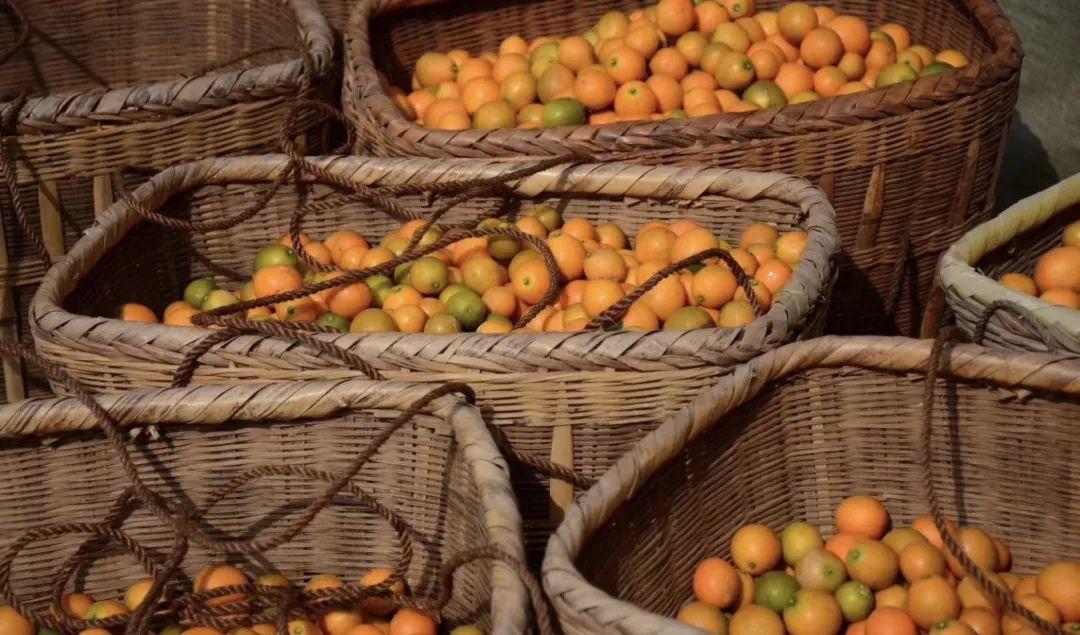 冰糖心金桔独立包装,冰糖心阿克苏苹果顺丰包邮