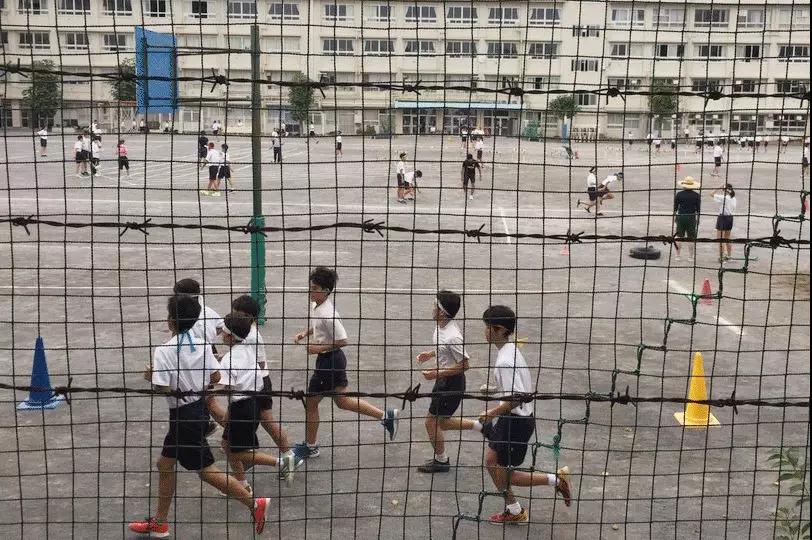 “我花200块，买来女儿性早熟”：多少中国孩子正在被“掏空”