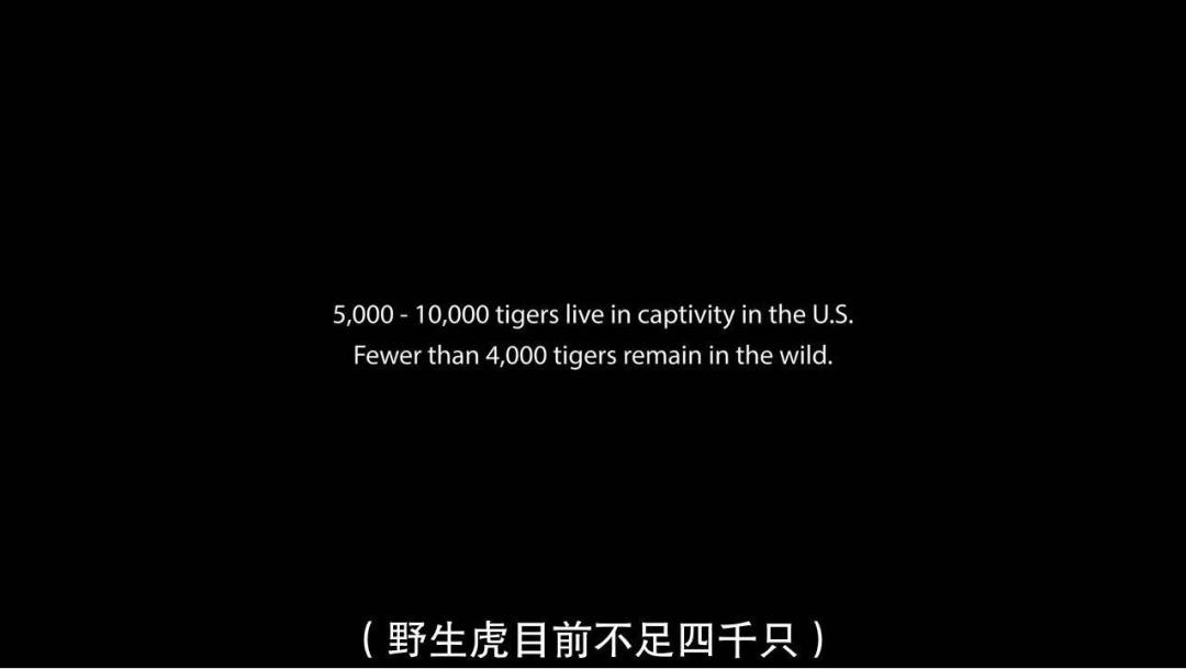 一夫多妻、*教邪***脑洗**、富豪失踪，你敢跟我说是真人真事？