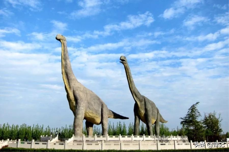 汝阳酒祖杜康酒官方旗舰店,汝阳酒祖杜康带来了什么