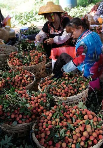 距海南20km有片处女地，比台湾风情比三亚便宜，路过都错过了