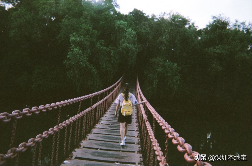 深圳最值得免费去的十大景点,深圳有哪些地方是免费景点