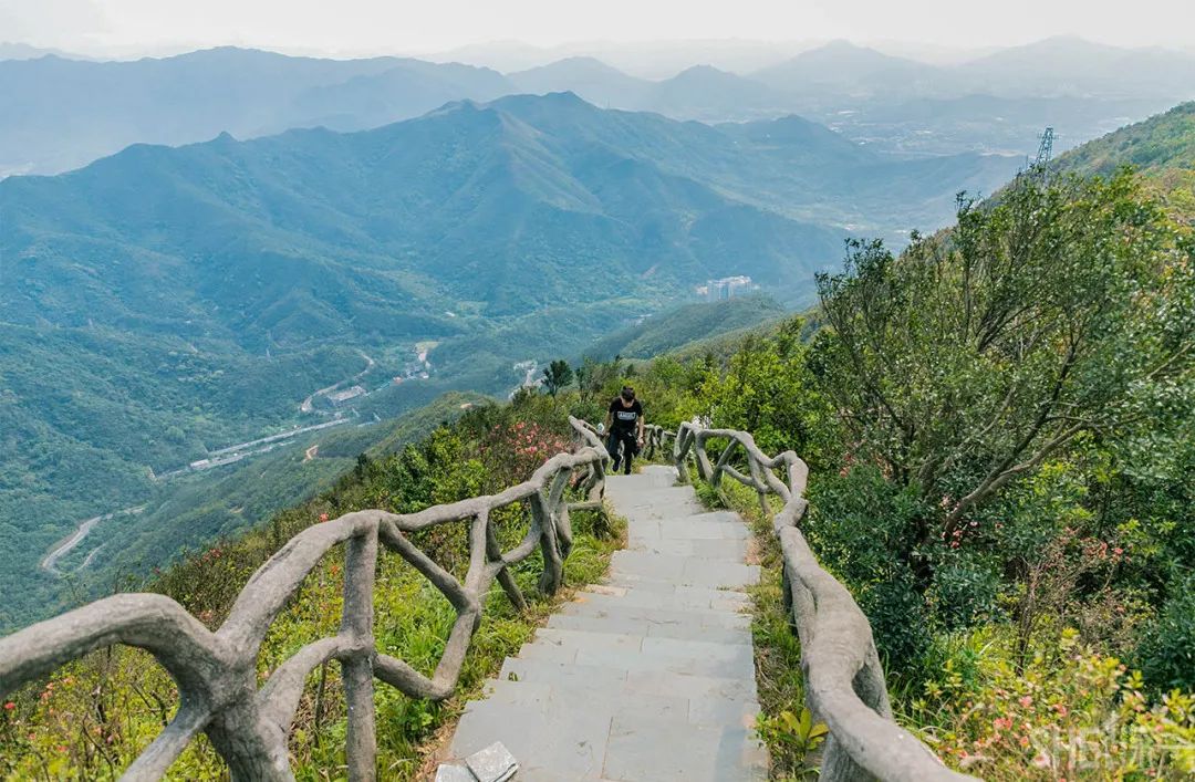 罗湖发达吗,罗湖区的实力到底有多强