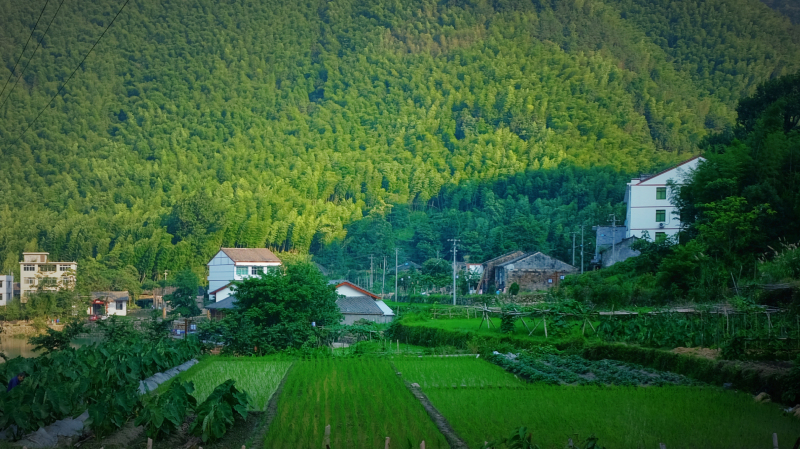 平阳水口村有什么景点可以玩,平阳水口村旅游