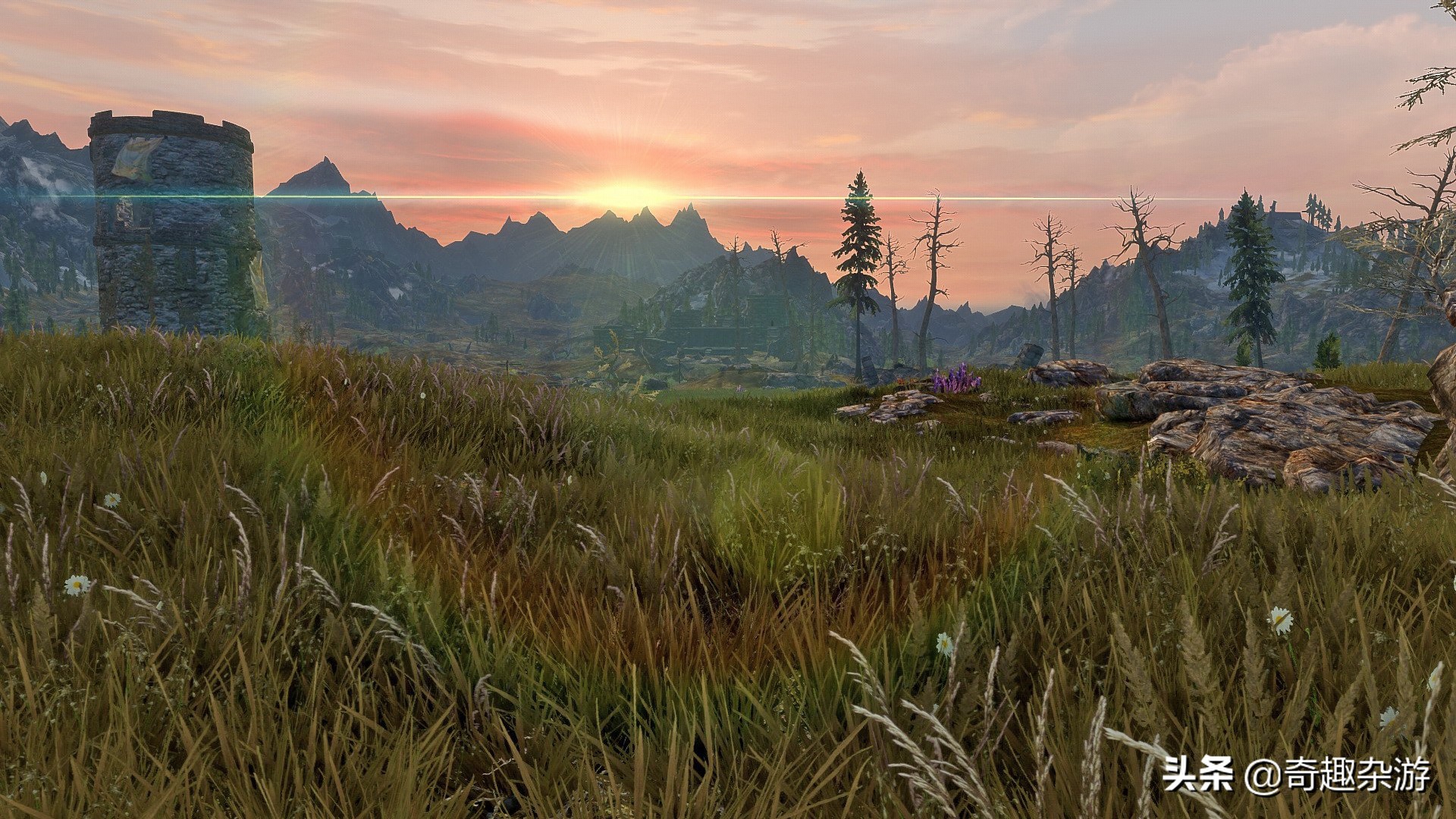 阿玛拉王国属于什么类型的游戏,阿玛拉王国是什么平台的游戏