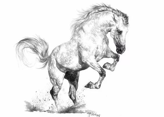 绱犳弿鍏ラ棬鍔ㄧ墿,绱犳弿鍔ㄧ墿瑙ｆ瀽