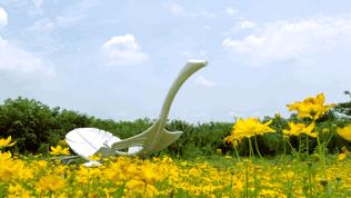 双流空港花田最新进展,双流空港花田开放了吗最新回复