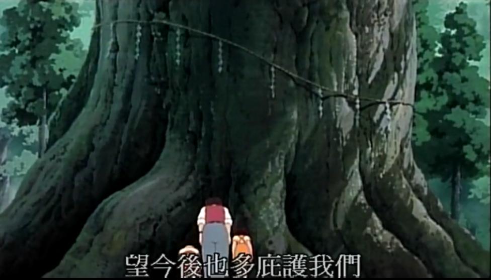 龙猫这个故事讲了什么,龙猫怎么和宫崎骏的经历联系起来