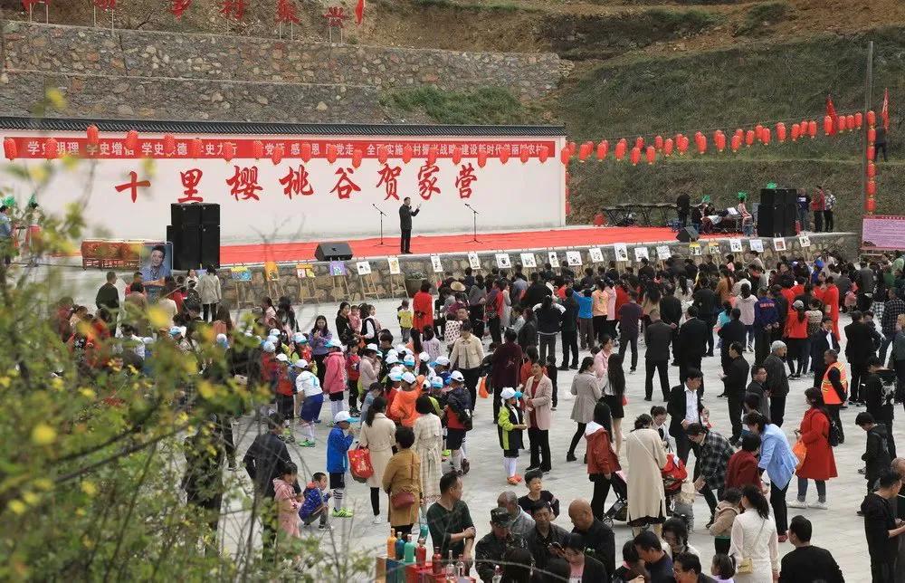 人间最美四月天，十里樱桃红满园