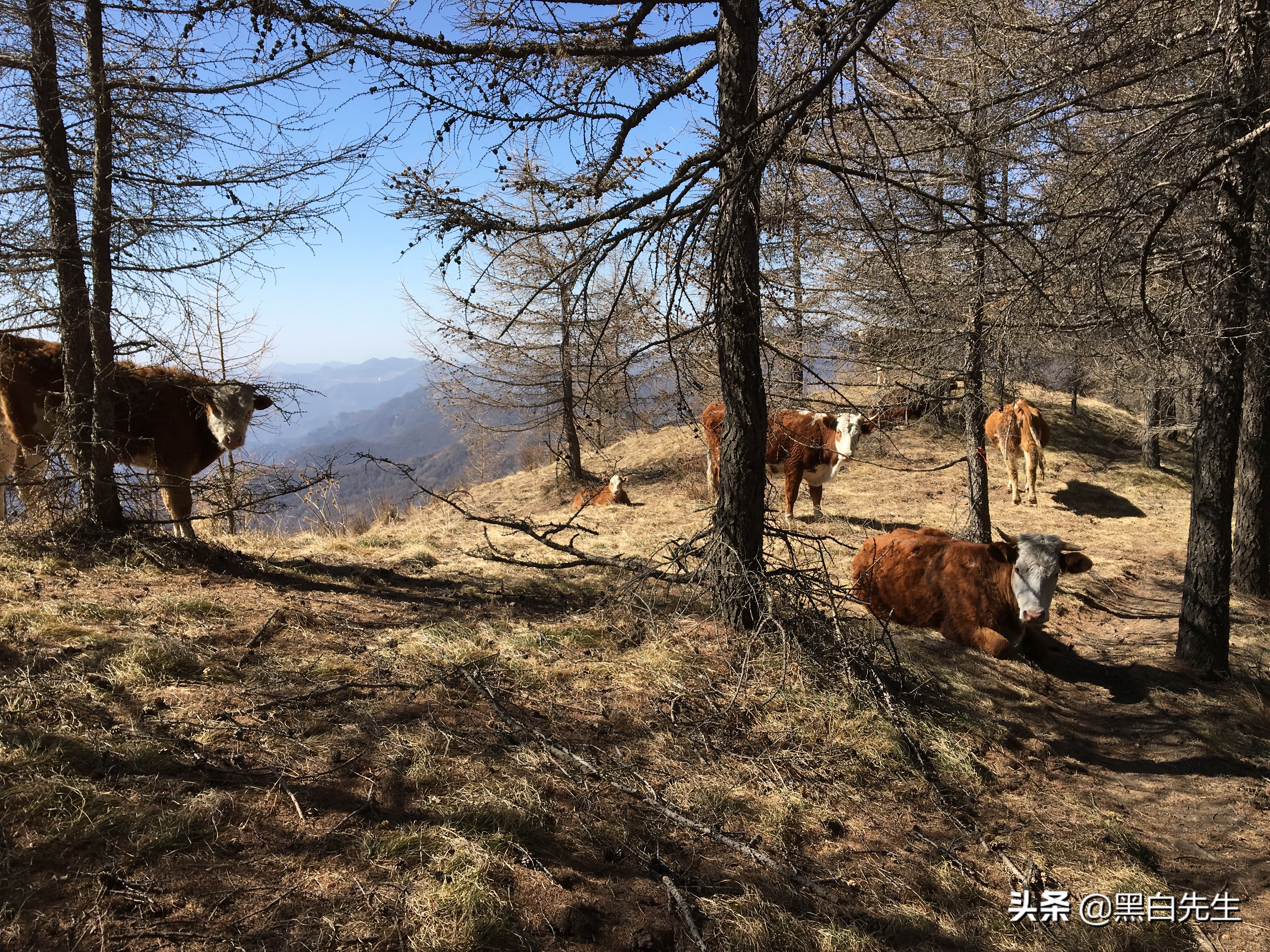 五台山轻装徒步攻略,五台山一日徒步