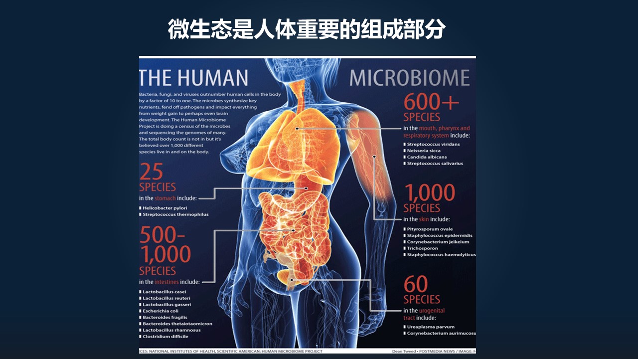 肖冰冰的小视频,肖冰冰讲的12生肖