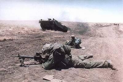 以色列特种部队野小子标志,以色列特种部队野小子装备