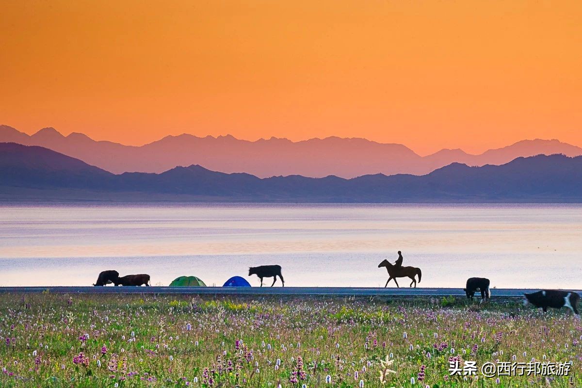 哼，又想「骗」我去*疆新**旅游！