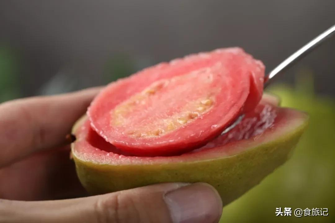 软糯香甜广西现摘红心芭乐,又脆又甜不带色的红心芭乐好吃